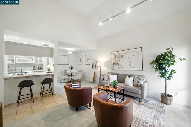 a living room with furniture and a potted plant