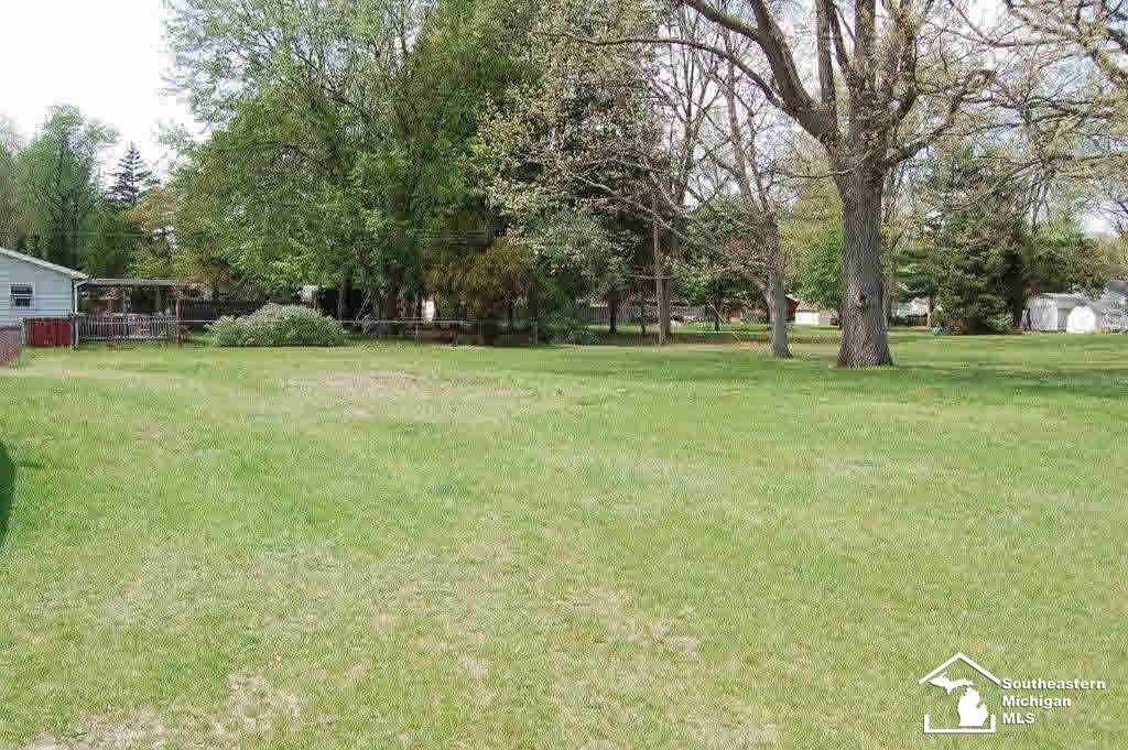7511 Monroe Road Lambertville, MI 48144 - Photo 4 of 15 SIDE YARD