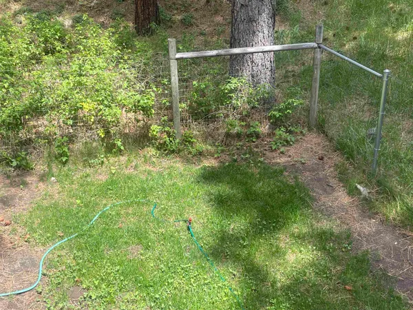 $305,000 | 302 Mountain View Road, Calpine, CA 96124