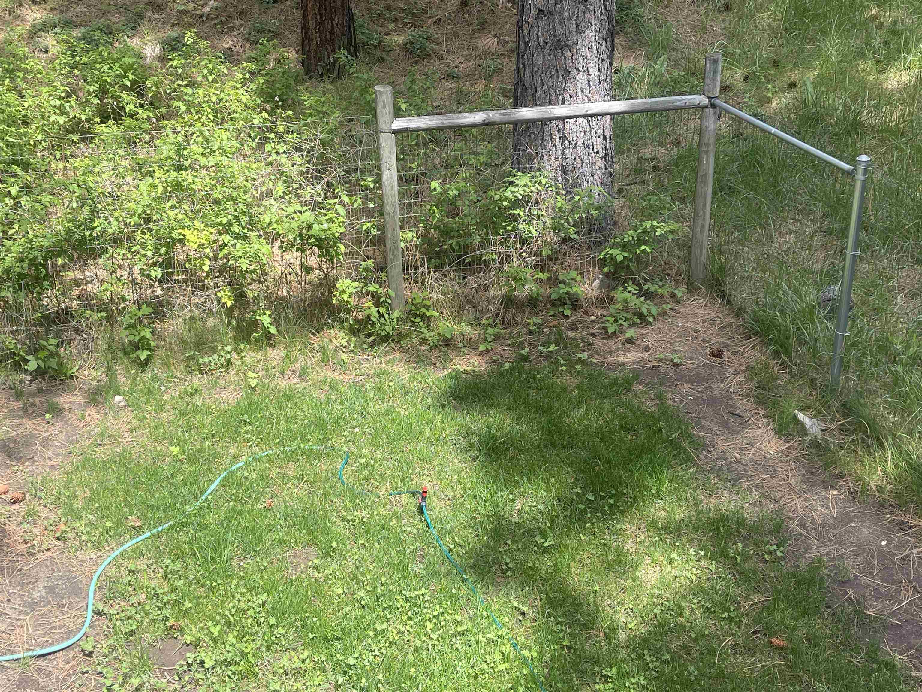 302 Mountain View Road Calpine, CA 96124 - Photo 23 of 26 a view of a small yard