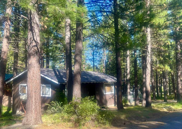 $305,000 | 302 Mountain View Road, Calpine, CA 96124