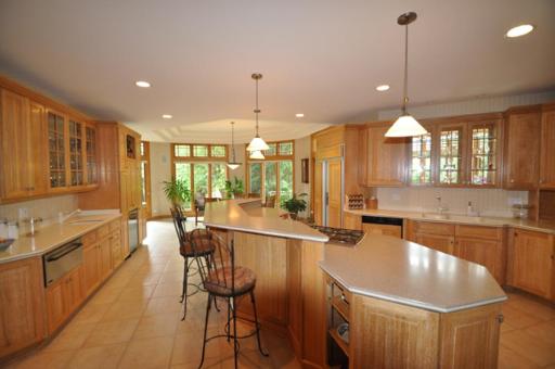 8350 Fars Cove Burr Ridge, IL 60527 - Photo 5 of 17