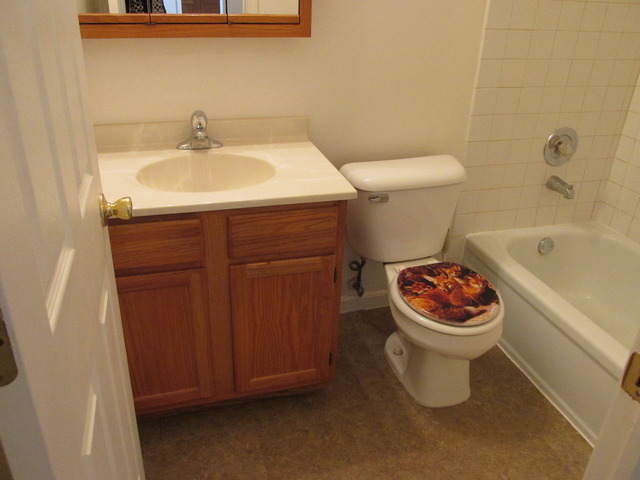 2700 Light Road, Unit 203 Oswego, IL 60543 - Photo 13 of 21