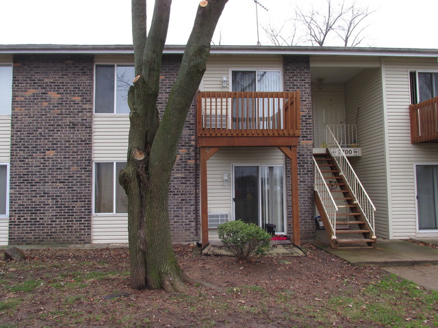 2700 Light Road, Unit 203 Oswego, IL 60543 - Photo 3 of 21