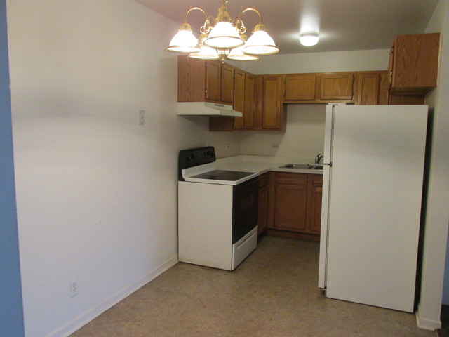 2700 Light Road, Unit 203 Oswego, IL 60543 - Photo 9 of 21