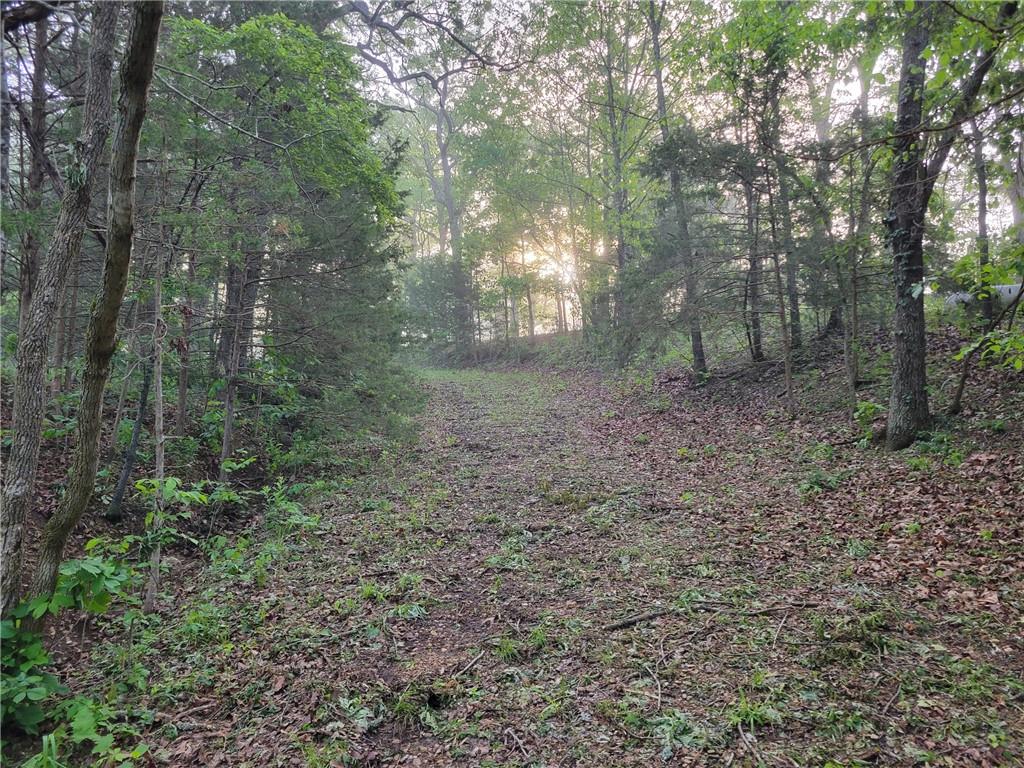 8780 Southwest 75 Pvt Road Osceola, MO 64776 - Photo 15 of 91