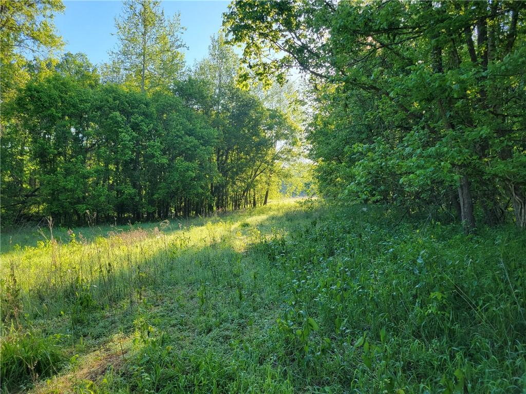 8780 Southwest 75 Pvt Road Osceola, MO 64776 - Photo 17 of 91