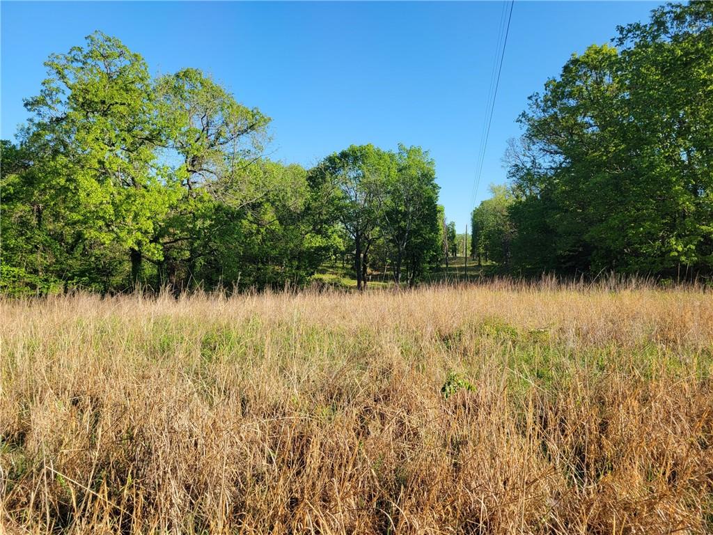 8780 Southwest 75 Pvt Road Osceola, MO 64776 - Photo 18 of 91