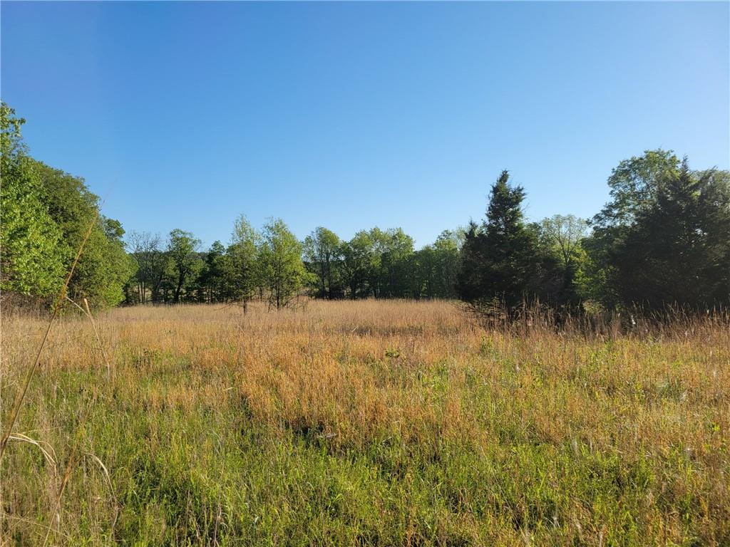 8780 Southwest 75 Pvt Road Osceola, MO 64776 - Photo 19 of 91