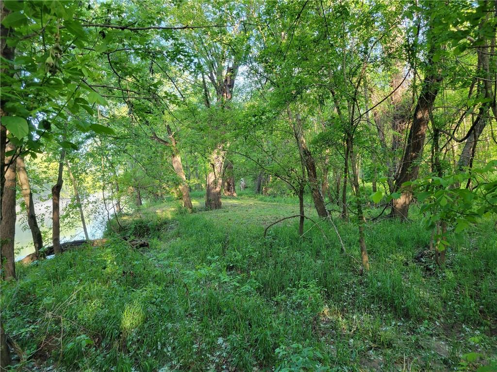 8780 Southwest 75 Pvt Road Osceola, MO 64776 - Photo 20 of 91