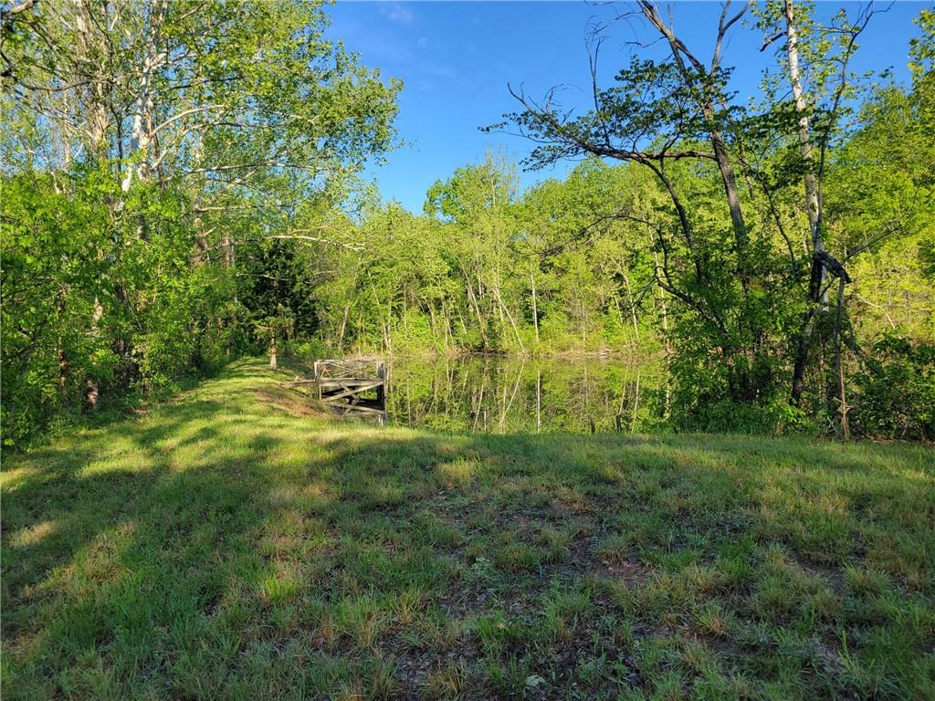 8780 Southwest 75 Pvt Road Osceola, MO 64776 - Photo 23 of 91