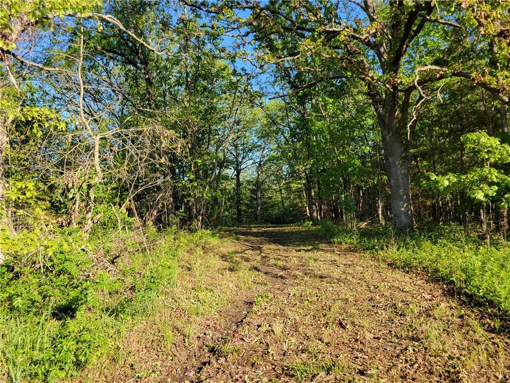 8780 Southwest 75 Pvt Road Osceola, MO 64776 - Photo 28 of 91