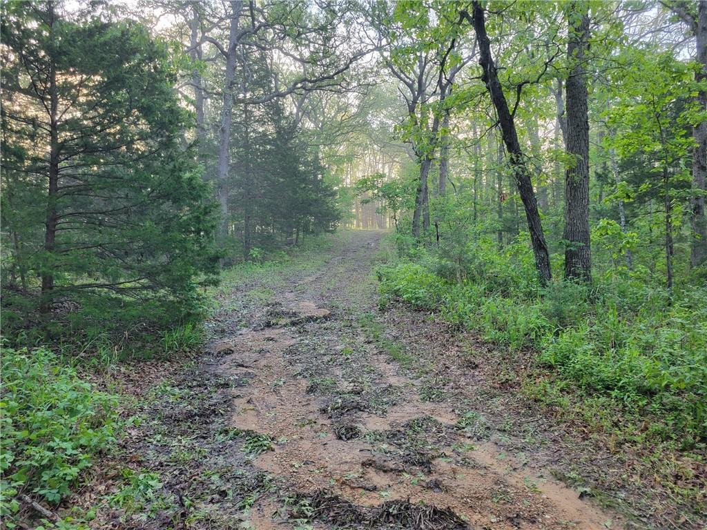 8780 Southwest 75 Pvt Road Osceola, MO 64776 - Photo 29 of 91
