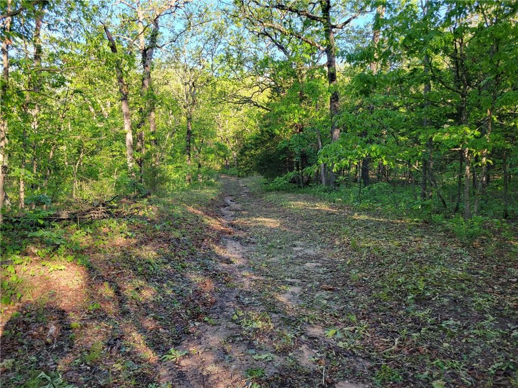 8780 Southwest 75 Pvt Road Osceola, MO 64776 - Photo 30 of 91