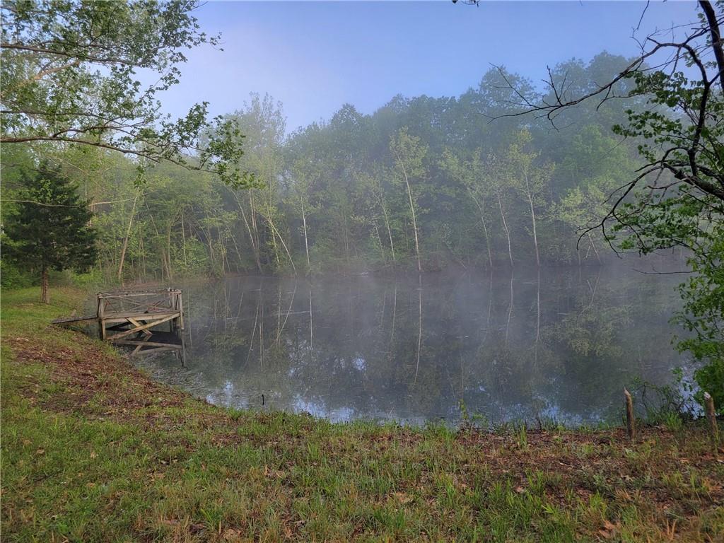 8780 Southwest 75 Pvt Road Osceola, MO 64776 - Photo 31 of 91