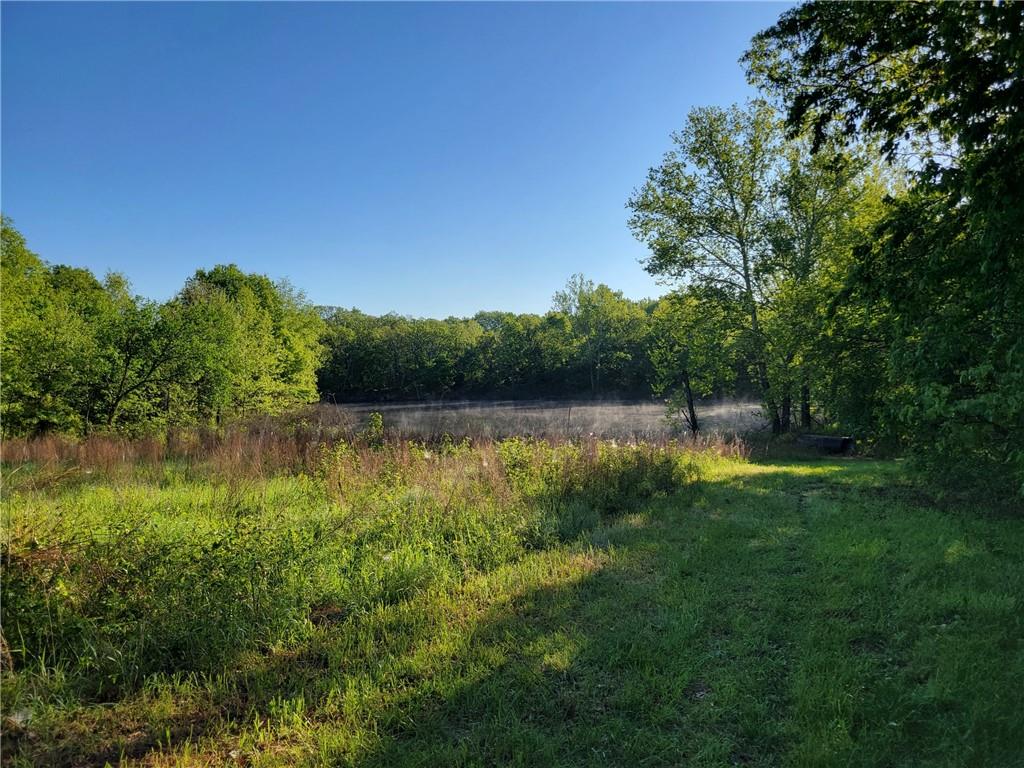 8780 Southwest 75 Pvt Road Osceola, MO 64776 - Photo 32 of 91