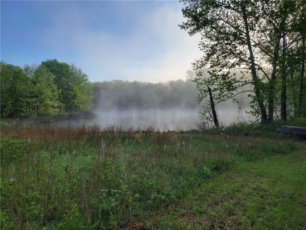 8780 Southwest 75 Pvt Road Osceola, MO 64776 - Photo 33 of 91