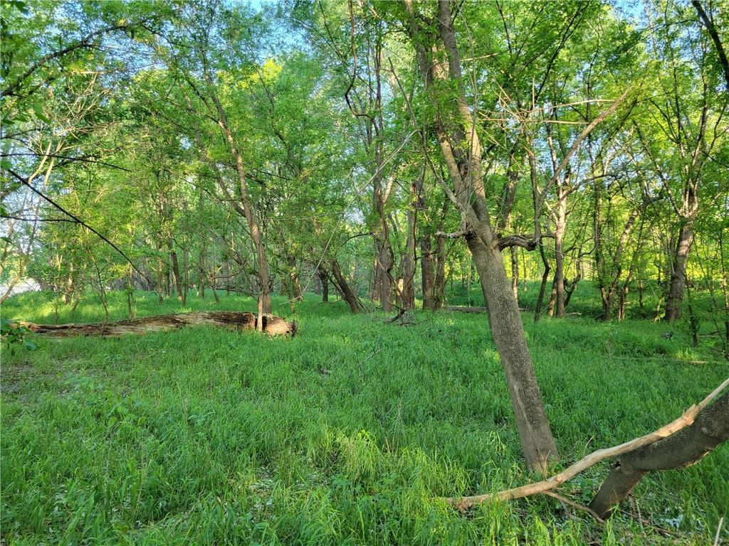 8780 Southwest 75 Pvt Road Osceola, MO 64776 - Photo 40 of 91