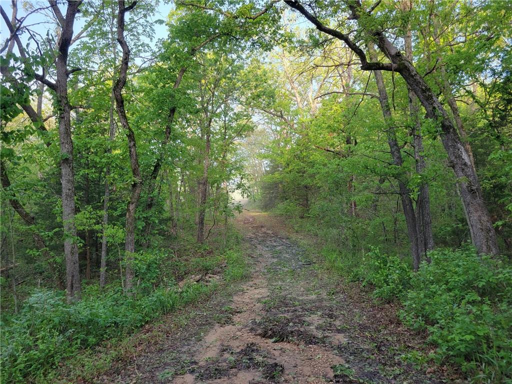 8780 Southwest 75 Pvt Road Osceola, MO 64776 - Photo 41 of 91