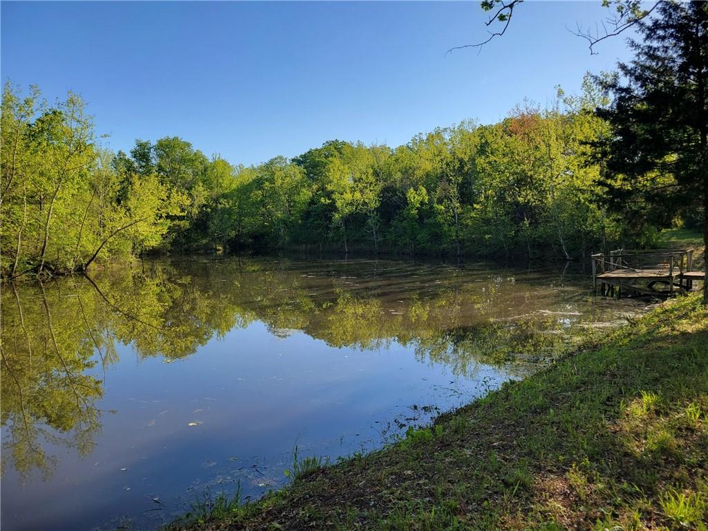 8780 Southwest 75 Pvt Road Osceola, MO 64776 - Photo 42 of 91