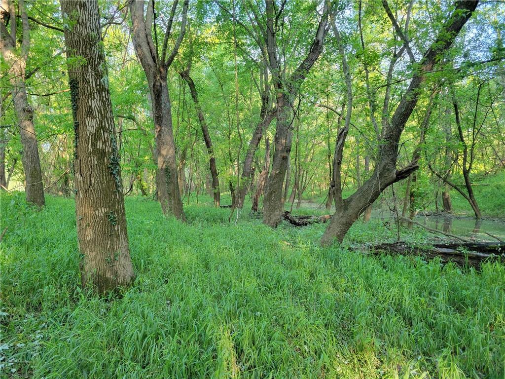 8780 Southwest 75 Pvt Road Osceola, MO 64776 - Photo 43 of 91