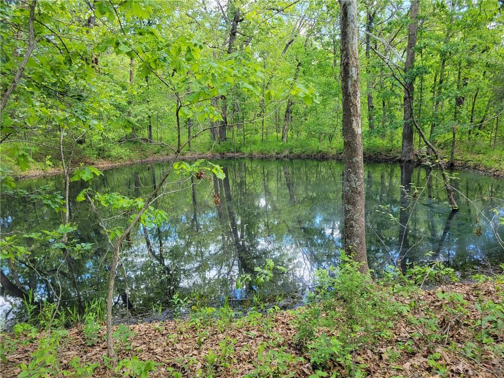 8780 Southwest 75 Pvt Road Osceola, MO 64776 - Photo 46 of 91