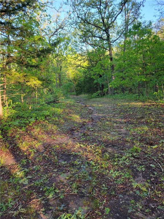 8780 Southwest 75 Pvt Road Osceola, MO 64776 - Photo 47 of 91
