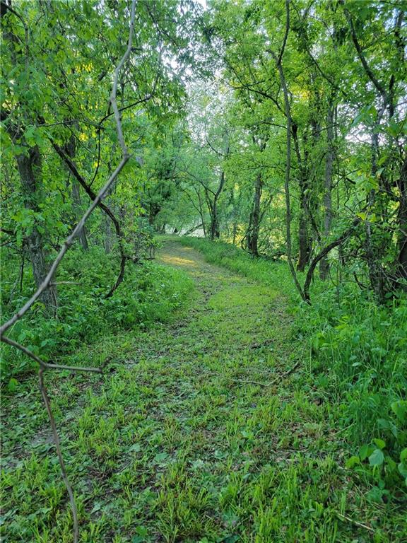 8780 Southwest 75 Pvt Road Osceola, MO 64776 - Photo 48 of 91