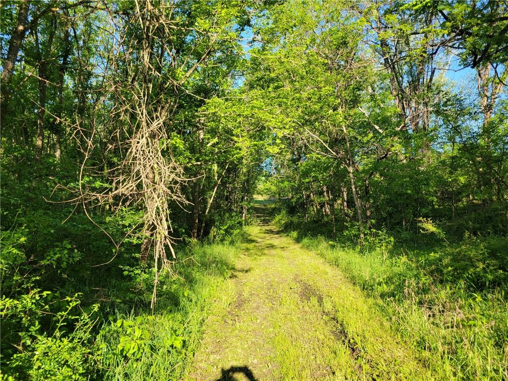 8780 Southwest 75 Pvt Road Osceola, MO 64776 - Photo 53 of 91