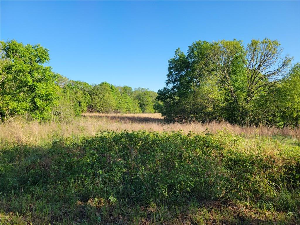 8780 Southwest 75 Pvt Road Osceola, MO 64776 - Photo 54 of 91