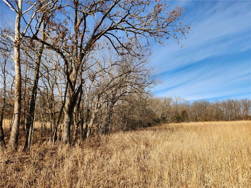 8780 Southwest 75 Pvt Road Osceola, MO 64776 - Photo 57 of 91