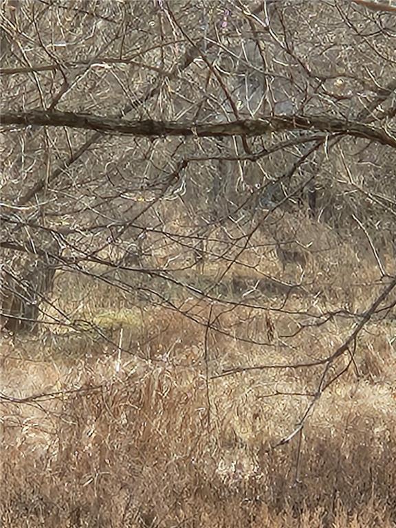 8780 Southwest 75 Pvt Road Osceola, MO 64776 - Photo 58 of 91