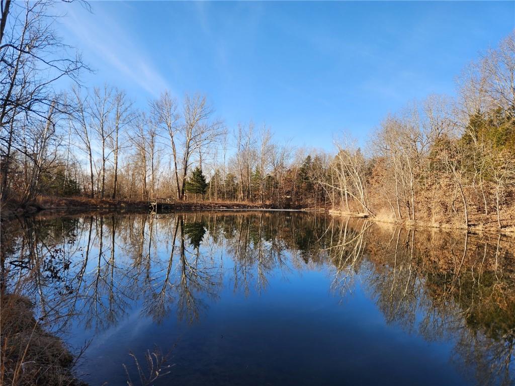 8780 Southwest 75 Pvt Road Osceola, MO 64776 - Photo 60 of 91