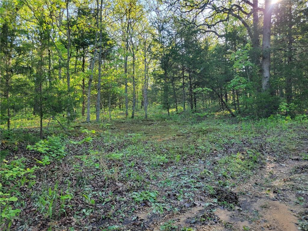 8780 Southwest 75 Pvt Road Osceola, MO 64776 - Photo 6 of 91