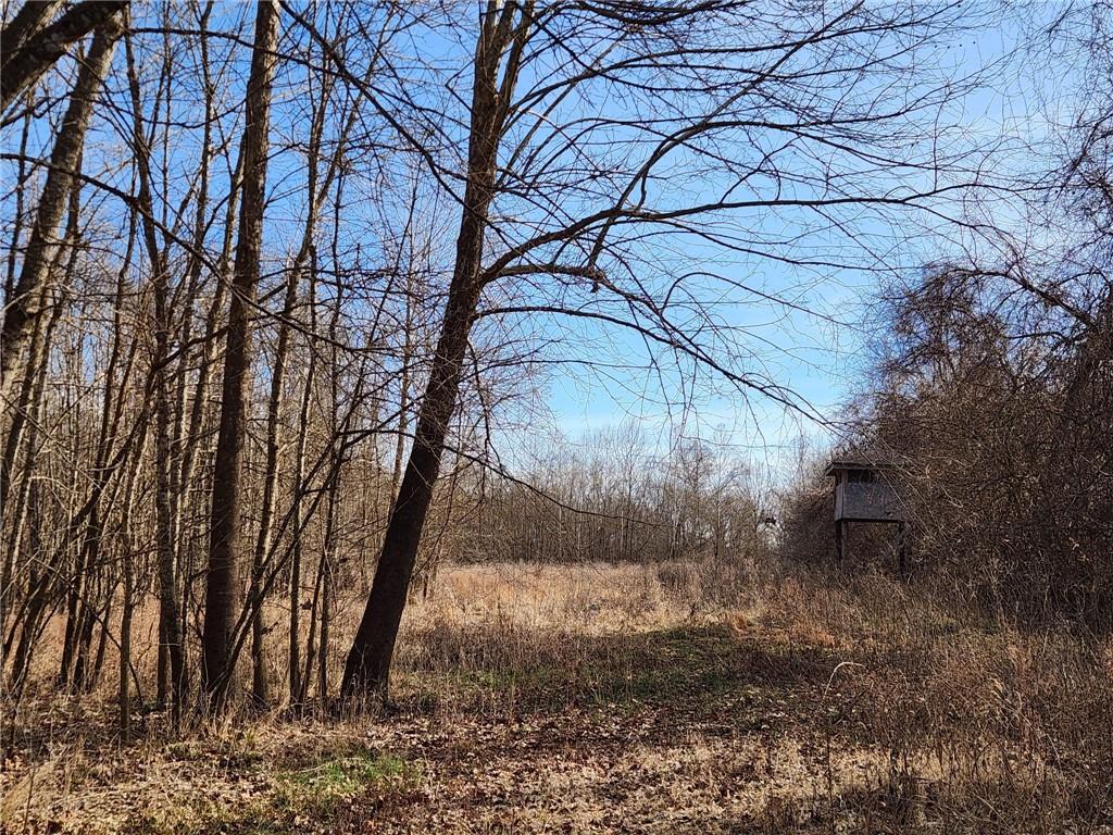 8780 Southwest 75 Pvt Road Osceola, MO 64776 - Photo 61 of 91