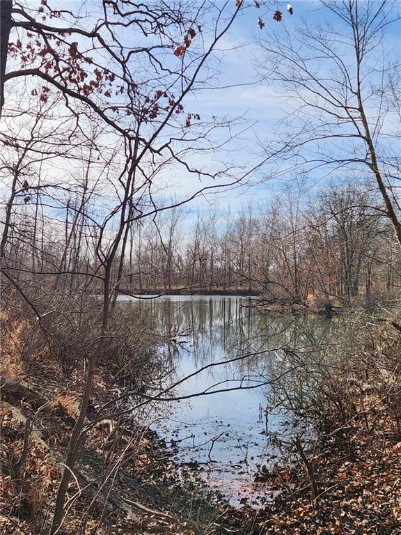 8780 Southwest 75 Pvt Road Osceola, MO 64776 - Photo 62 of 91