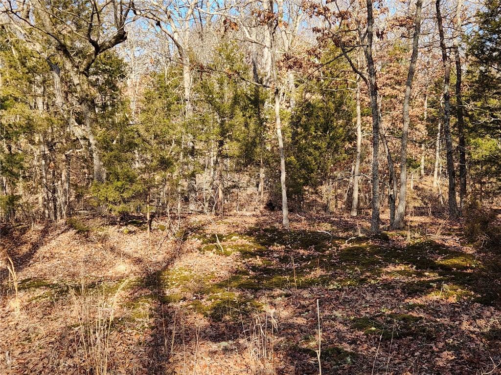 8780 Southwest 75 Pvt Road Osceola, MO 64776 - Photo 63 of 91
