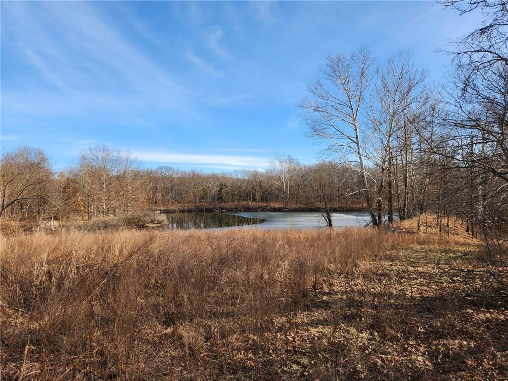 8780 Southwest 75 Pvt Road Osceola, MO 64776 - Photo 64 of 91