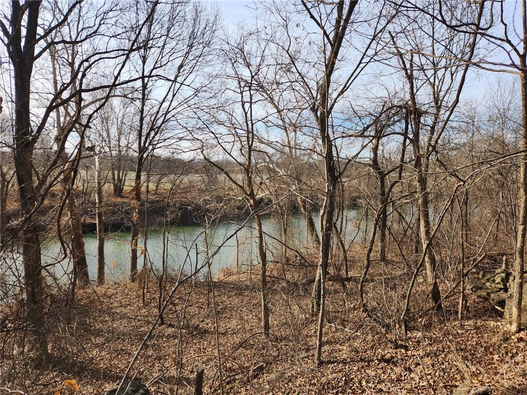 8780 Southwest 75 Pvt Road Osceola, MO 64776 - Photo 65 of 91