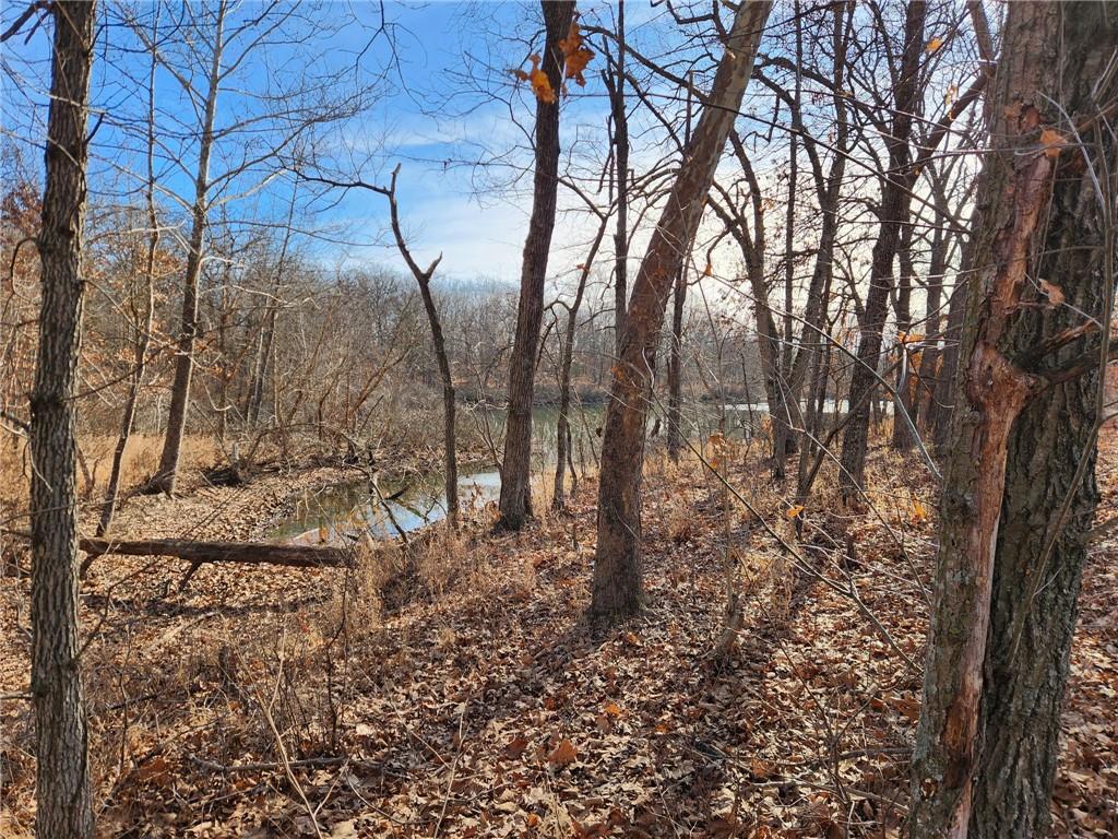 8780 Southwest 75 Pvt Road Osceola, MO 64776 - Photo 66 of 91