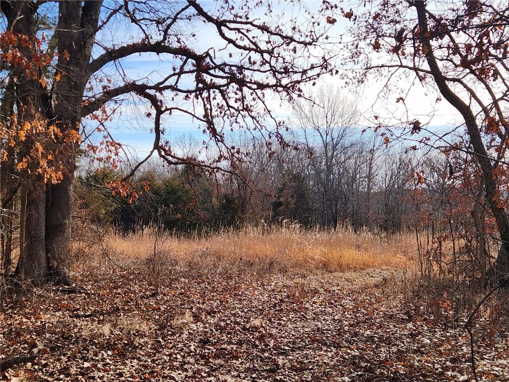 8780 Southwest 75 Pvt Road Osceola, MO 64776 - Photo 67 of 91