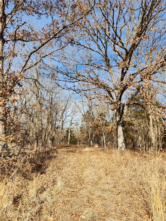 8780 Southwest 75 Pvt Road Osceola, MO 64776 - Photo 68 of 91