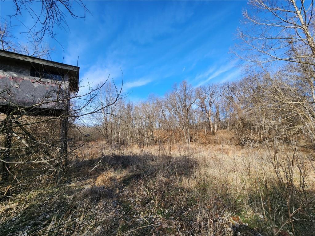 8780 Southwest 75 Pvt Road Osceola, MO 64776 - Photo 69 of 91
