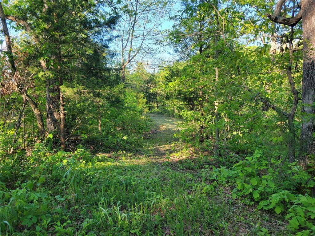 8780 Southwest 75 Pvt Road Osceola, MO 64776 - Photo 8 of 91