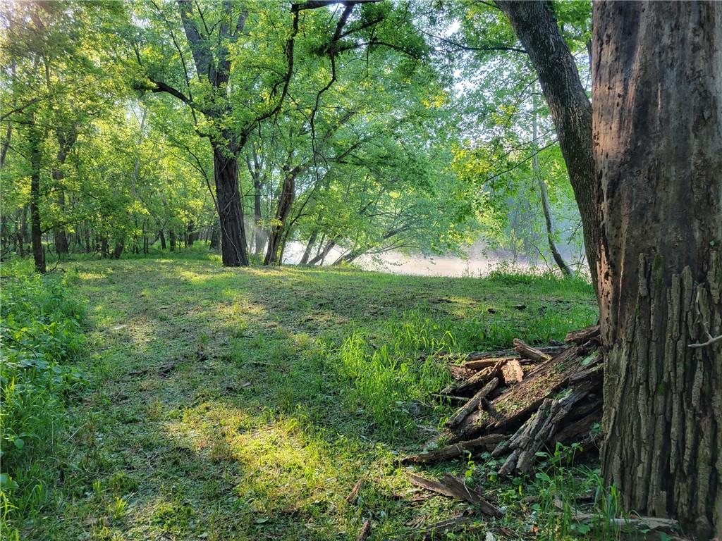 8780 Southwest 75 Pvt Road Osceola, MO 64776 - Photo 9 of 91