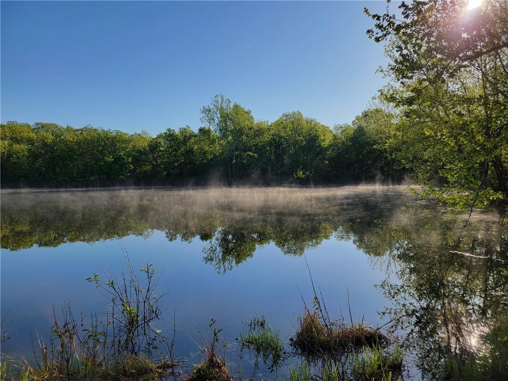 8780 Southwest 75 Pvt Road Osceola, MO 64776 - Photo 10 of 91