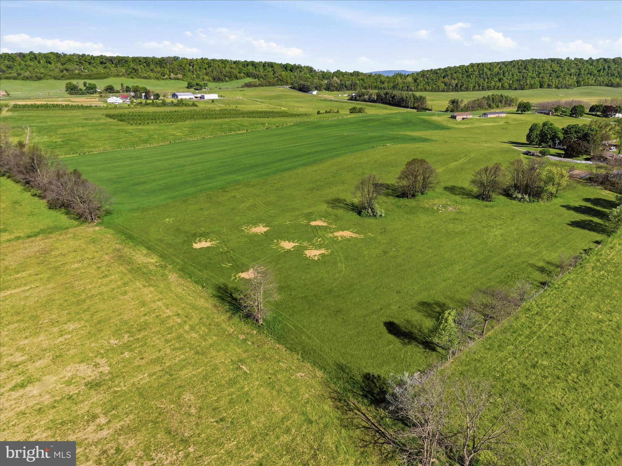 Tbd Golds Hill Road Winchester, VA 22603 - Photo 4 of 14 a view of a city with an ocean