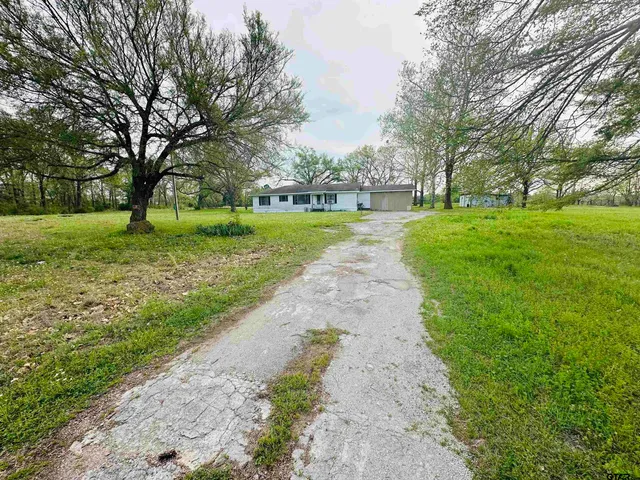 a view of a park with tree s