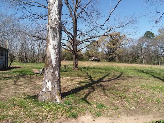 a view of a yard with tree s
