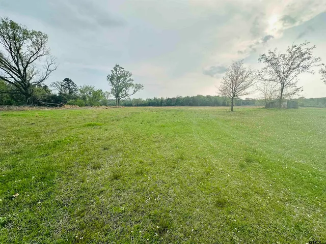 a view of a field with an ocean
